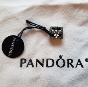 Present Reflexions charm